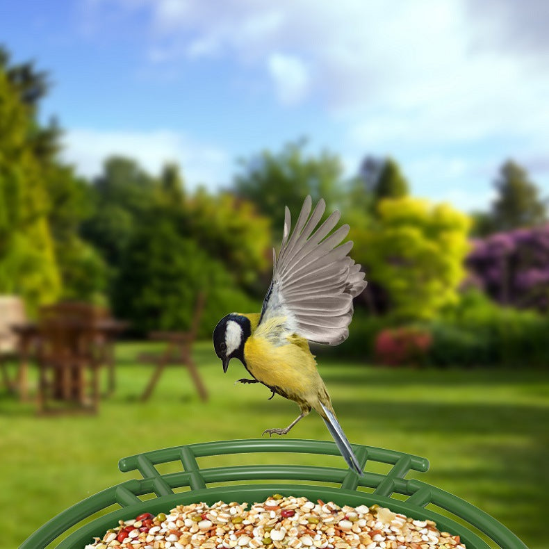 Solar Powered AI Bird Feeder with Camera and Night Vision